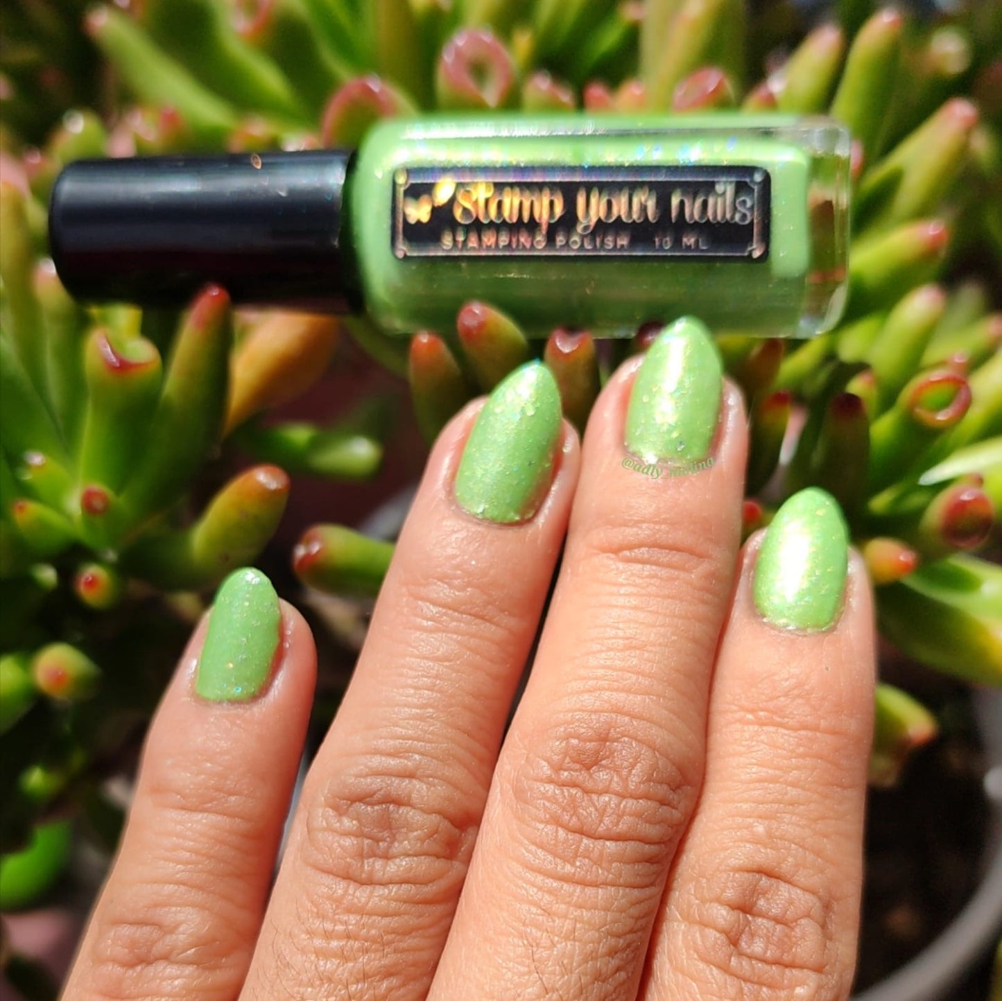 Kit Mi Lindo México 🇲🇽 (con 4 tonos de esmalte)