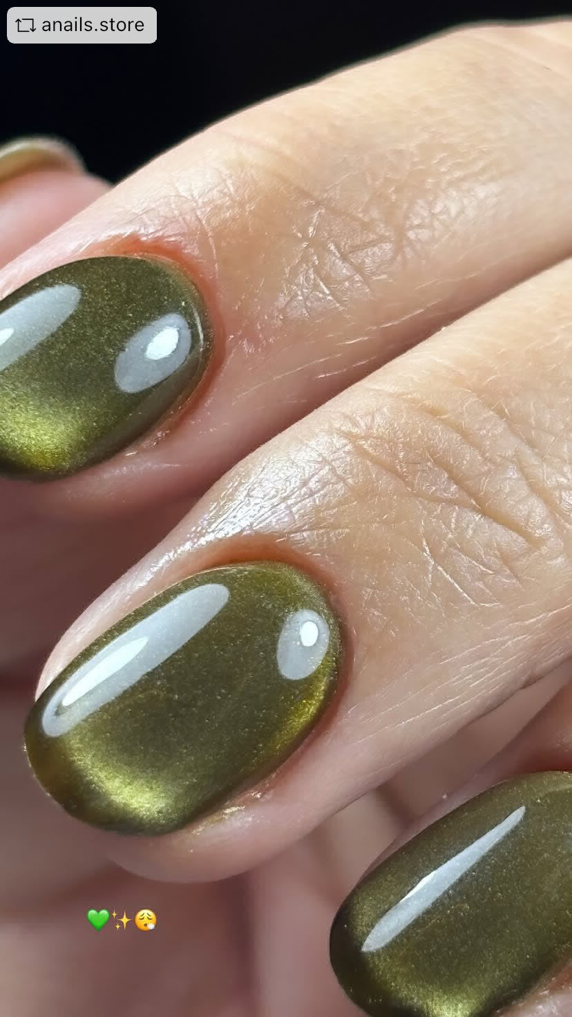 Daylight Cat eye 16