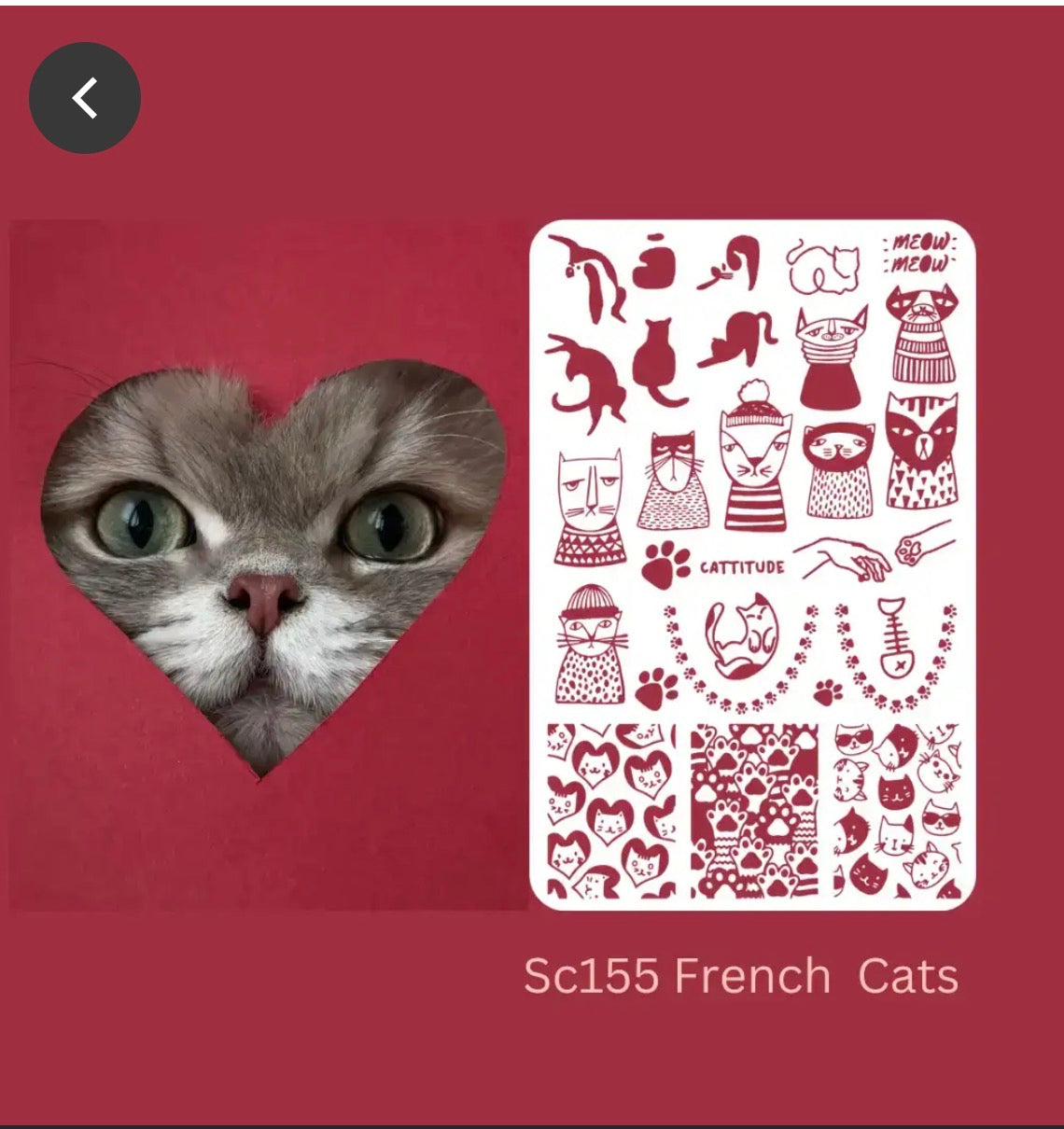 Cattitude