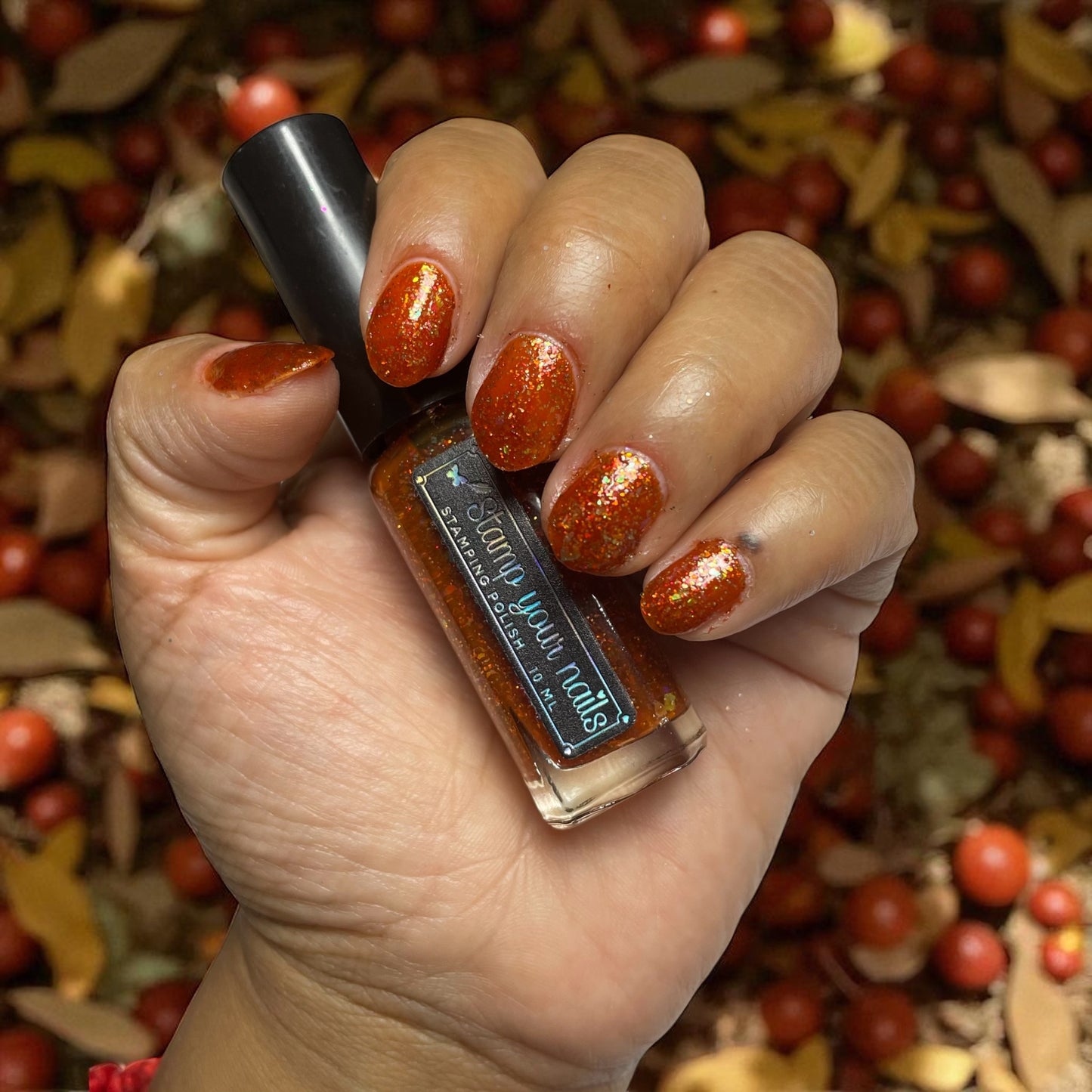 Colección Otoño