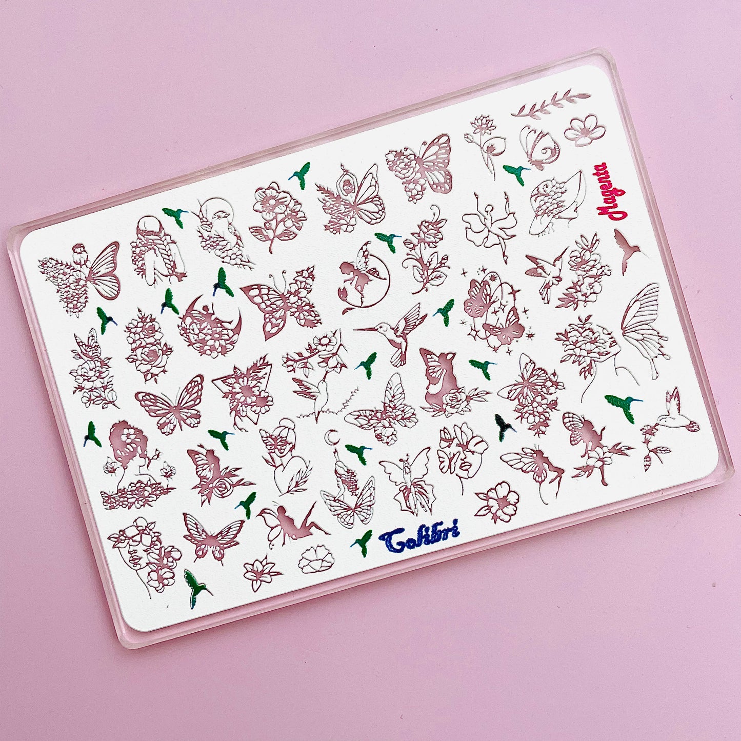 Colibrí