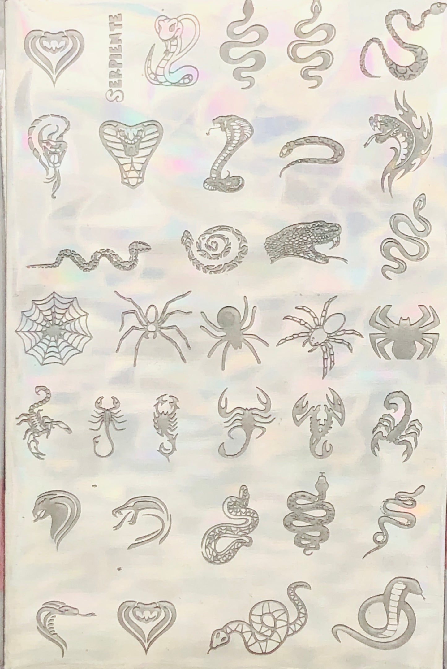 Snakes & Spider