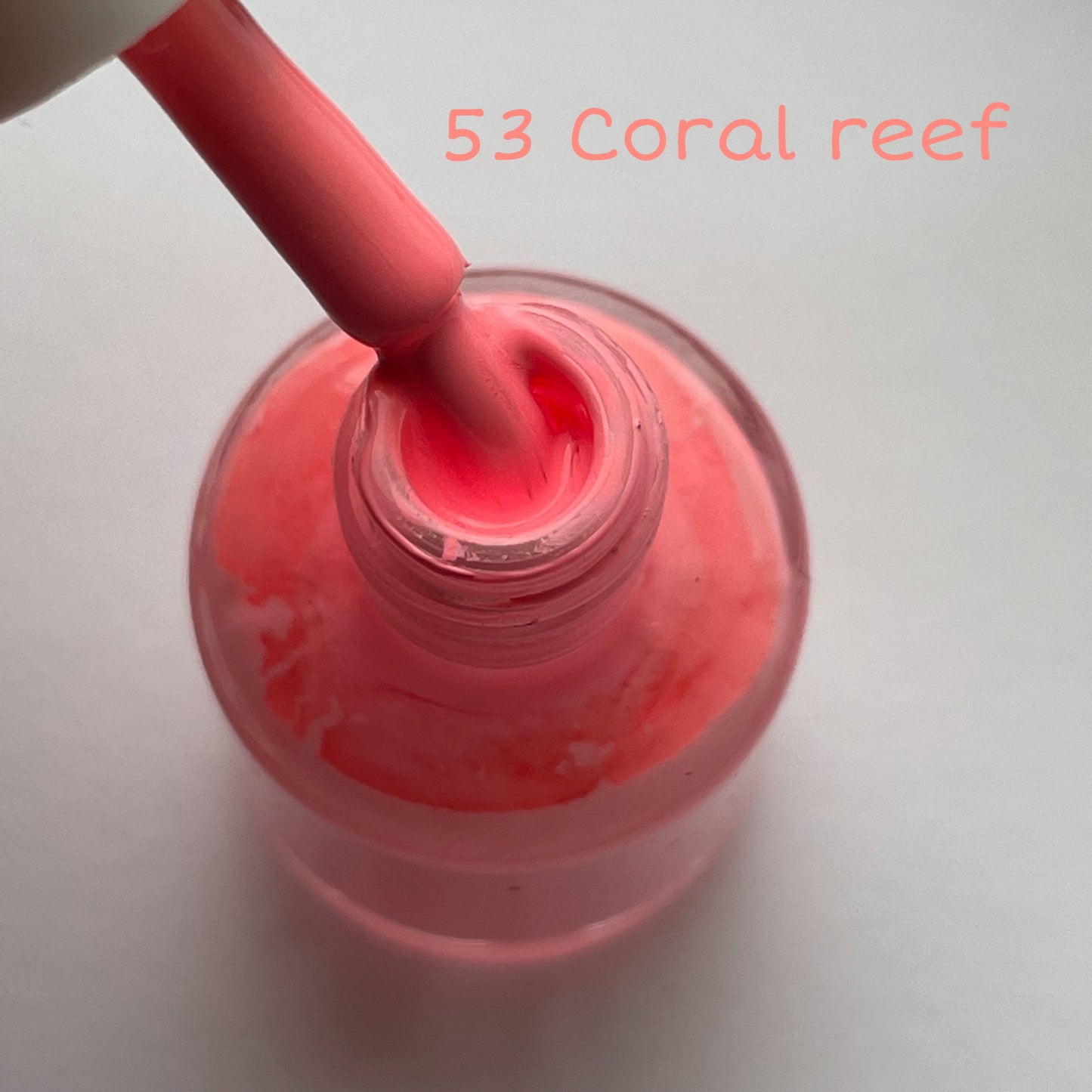 53 Coral Reef