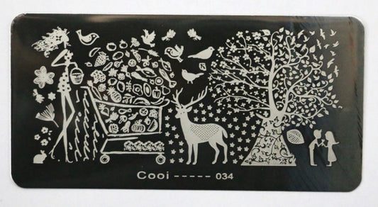 Cooi 34